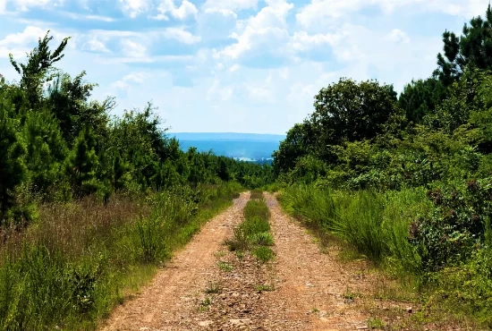 Hit the Road: Exciting Road Trips from Seminole, OK